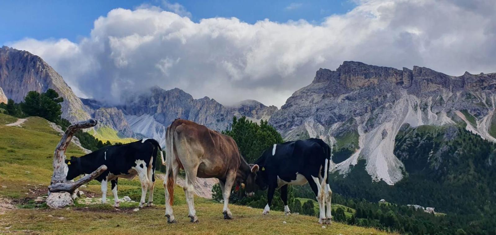 Garni Hotel Iris Selva di Val Gardena Luaran gambar