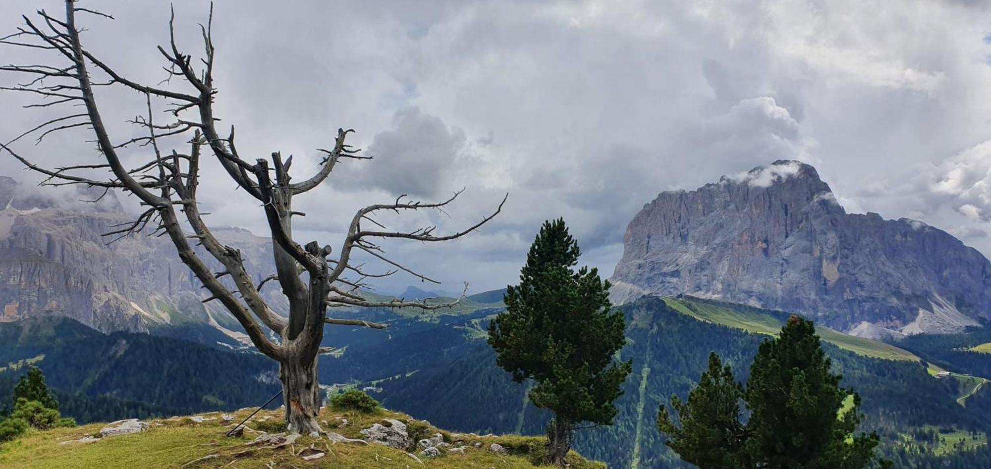 Garni Hotel Iris Selva di Val Gardena Luaran gambar