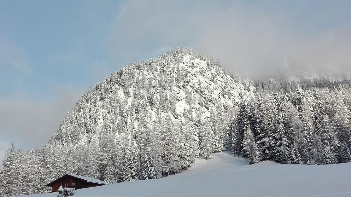 Garni Hotel Iris Selva di Val Gardena Luaran gambar