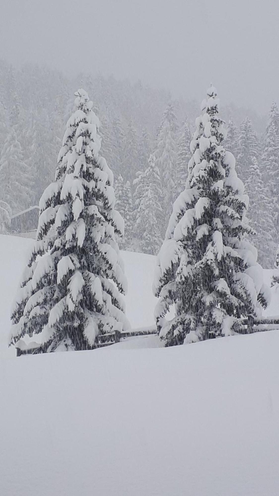 Garni Hotel Iris Selva di Val Gardena Luaran gambar