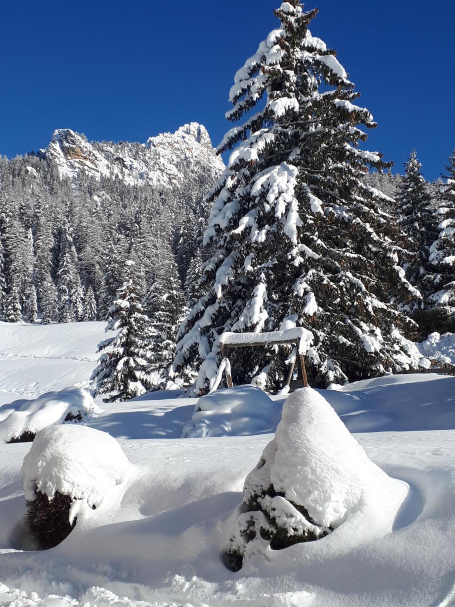Garni Hotel Iris Selva di Val Gardena Luaran gambar