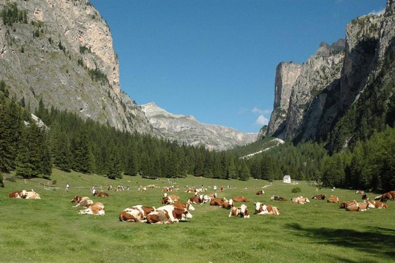 Garni Hotel Iris Selva di Val Gardena Luaran gambar